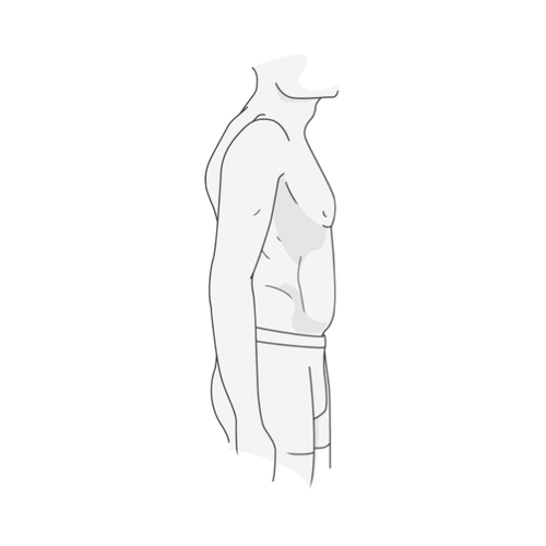 Normale Taille
